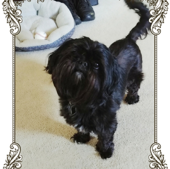 Meet your Poshers Megan and Hector R. - Picture 7 of 10